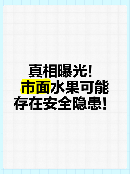第515頁