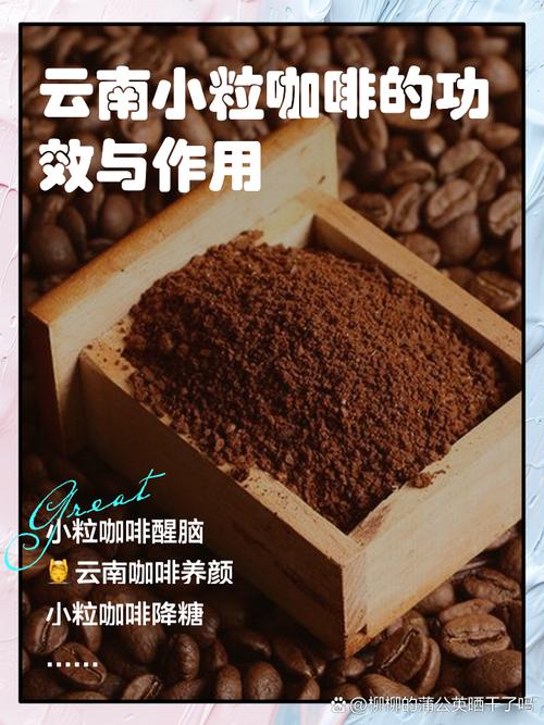 “上海研發(fā)”賦能云南小粒咖啡“鎖鮮提質(zhì)”