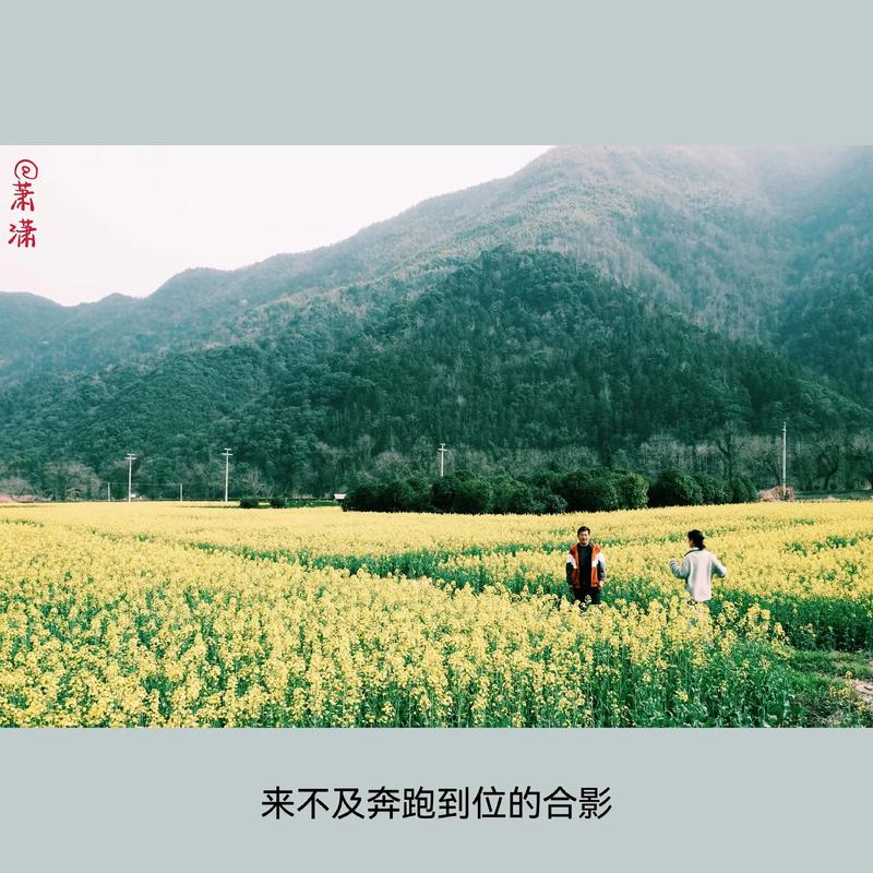 踏青正當(dāng)時，和春天來一場“雙向奔赴”