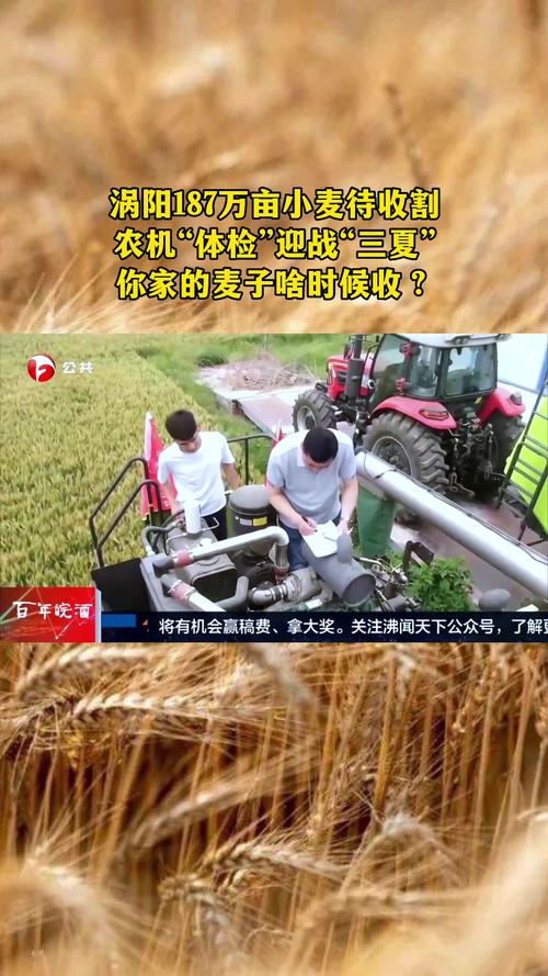 閃電評論｜中關(guān)村播種未來科技，山東用硬核場景收割果實