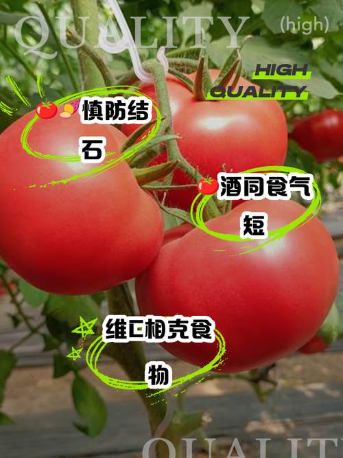 注意：這4種番茄不能吃，一定要叮囑家人忌嘴！別不當回事