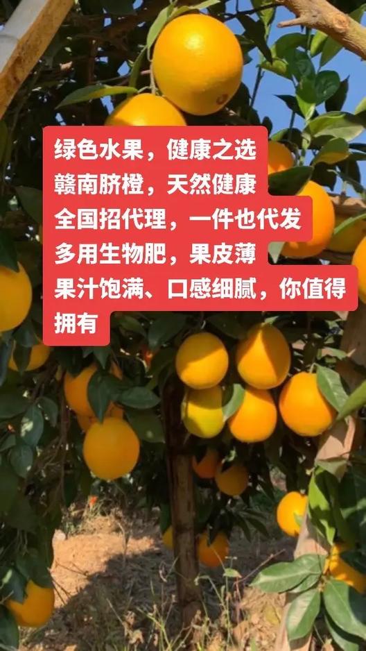 警惕！這三種“人工合成”水果，千萬(wàn)別買(mǎi)！病從口入，健康第一