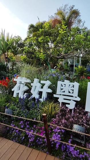 美不勝收！粵港澳大灣區(qū)花園展在深圳開展，趕緊去打卡！
