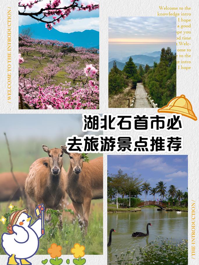 石首旅游公路沿途皆風(fēng)景 賞花游客預(yù)計(jì)突破30萬人次