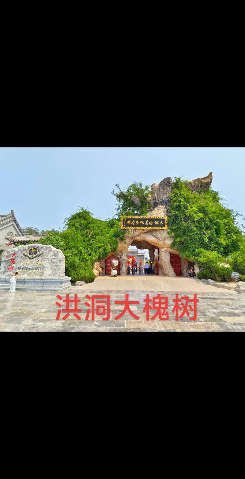 洪洞大槐樹景區(qū)2025年春季游園賞花活動 正式上線花期將盡！