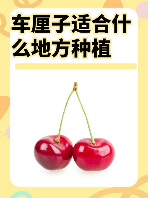 水果界的“大忽悠”你可買過？