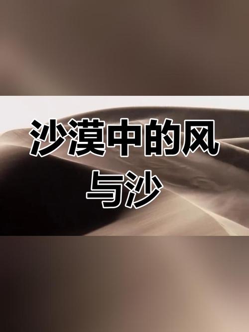 這么大陣仗人生第一次來到進(jìn)沙漠，就遇上了沙塵暴