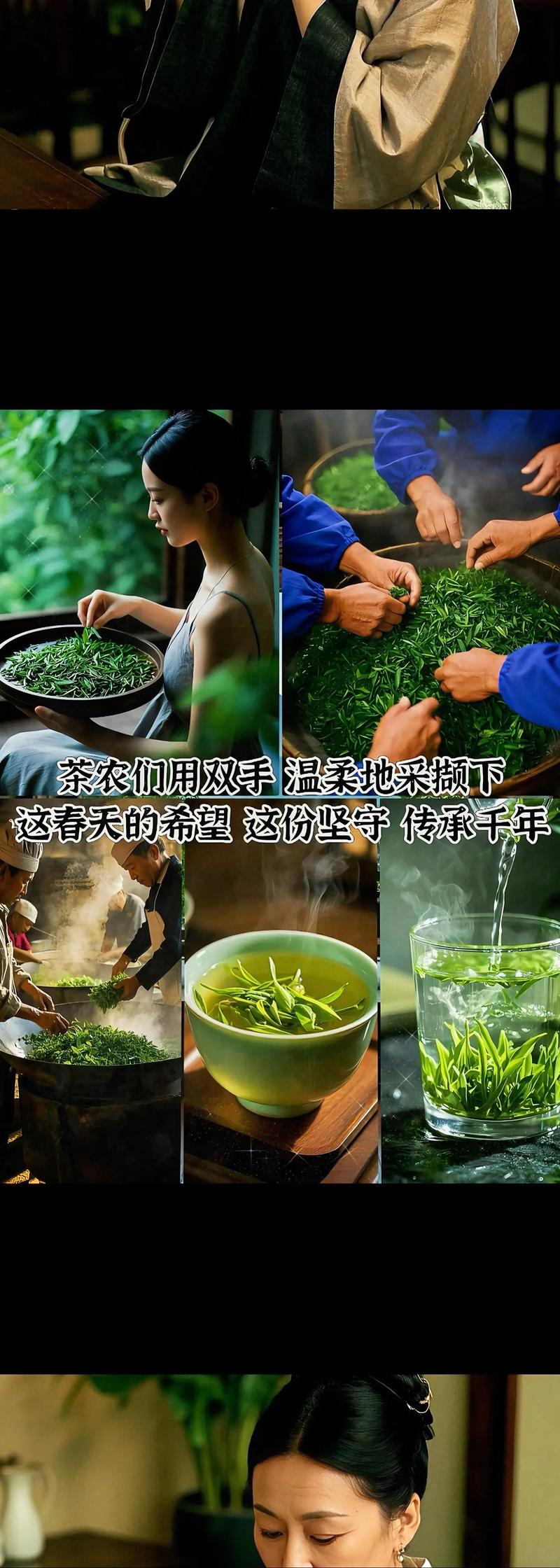 春茶正當時！信陽邀你共赴一場茶香之約