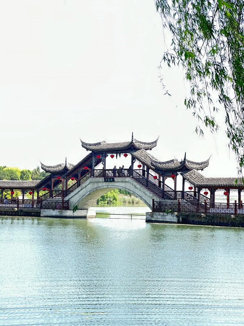 “夢(mèng)回水鄉(xiāng)，印象錦溪”視頻記錄美好瞬間#印象錦溪(合集完)
