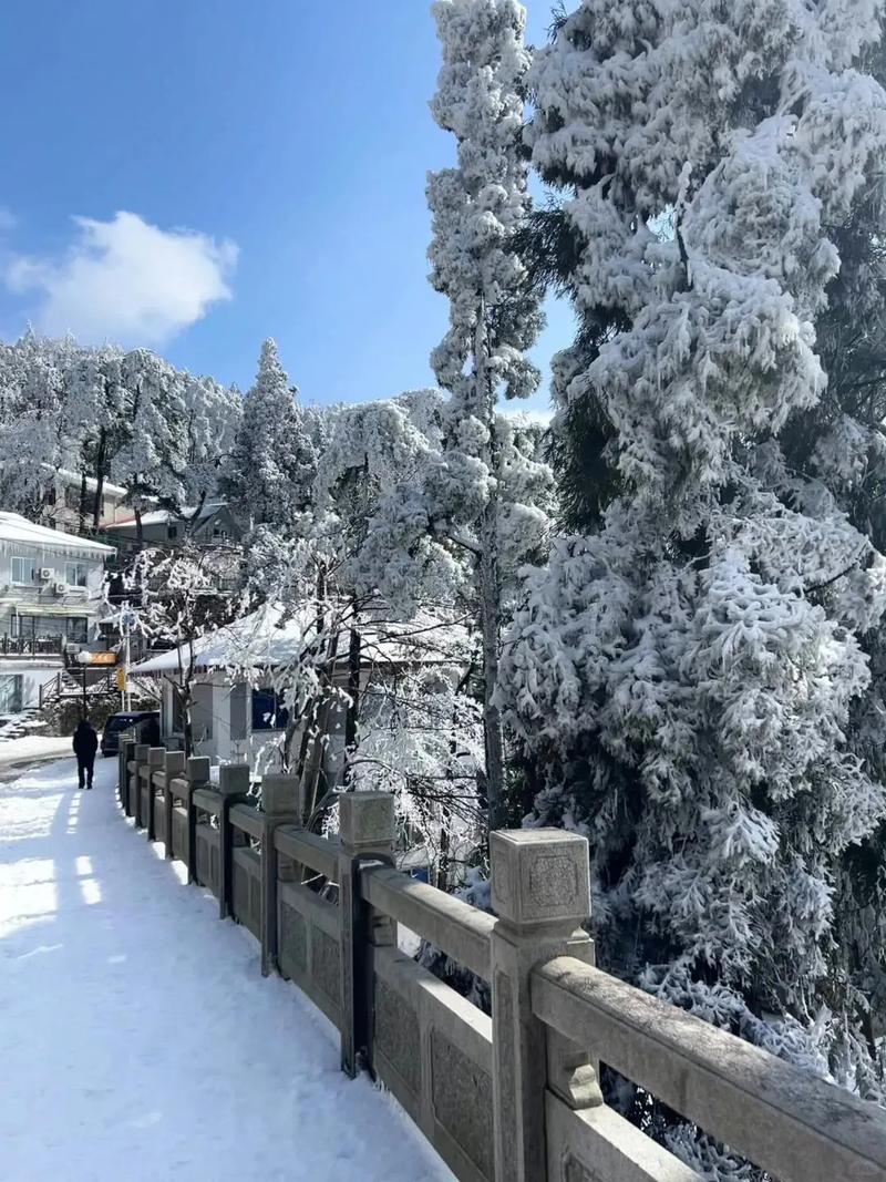 3月底了，廬山居然還下雪？