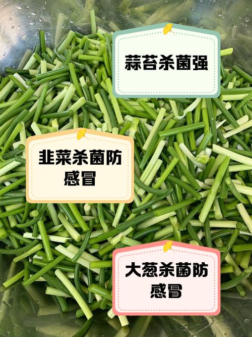 自帶“青霉素”的菜，醫(yī)生建議：春天經(jīng)常吃，提高免疫力少生??！