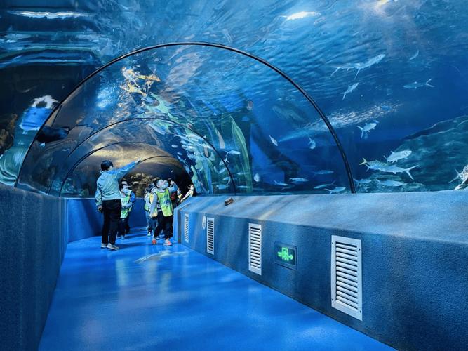 北京三大海洋館春天一定要來(lái)太平洋海底世界 親子游玩好去處