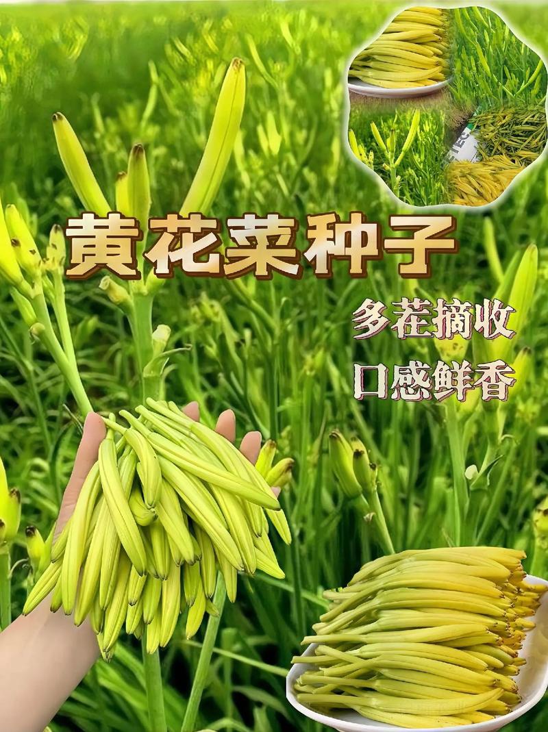 春芽正當(dāng)時！這5道黃金菜助娃躥高個，錯過再等一年！