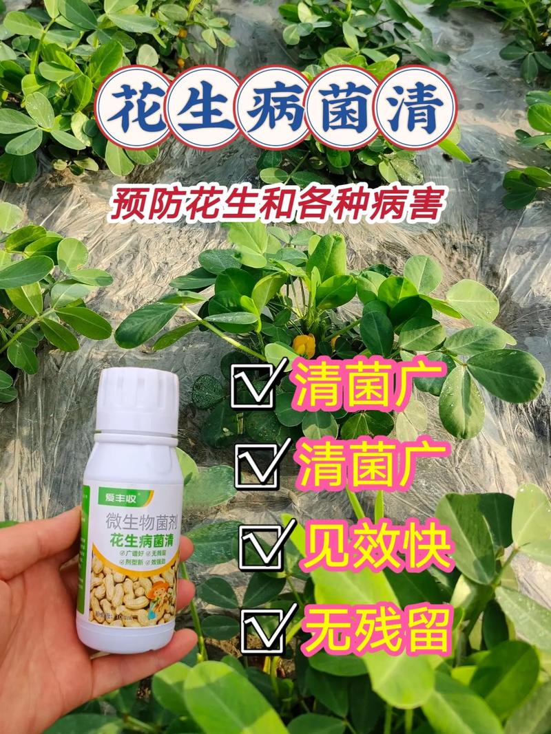 山東綠德地：專注解決花生根際病蟲害高效防治
