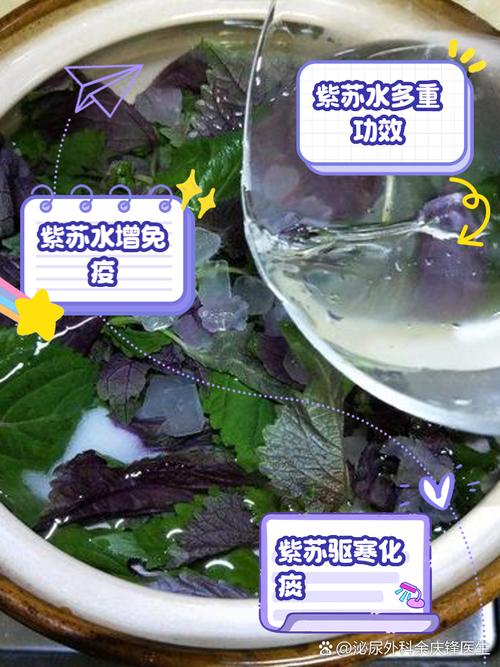 “紫蘇”是個寶，用它來泡水喝，或能幫助解決這5個問題
