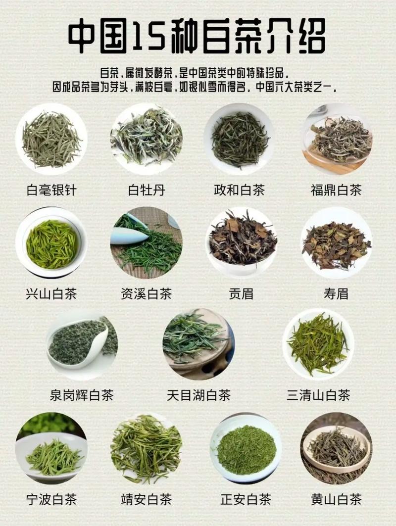 關于白茶的品質(zhì)，怎么分？