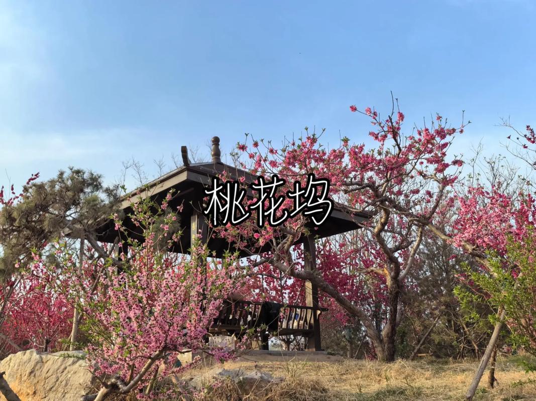 寶雞的桃花塢，市區(qū)出發(fā)十幾分鐘就能到的“世外桃源”太美了！