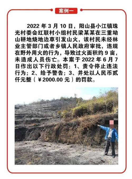 山東曝光近期4起違規(guī)用火典型警示案例：均是人為引發(fā)，5人被刑事拘留