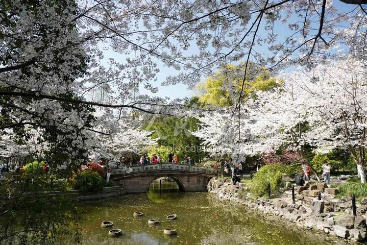 #上海魯迅公園 上海魯迅公園實(shí)拍視頻 滿園春色撩人心弦