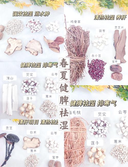 “春天祛濕湯，不勞醫(yī)生幫”春天多喝這道湯，順應節(jié)氣精神飽滿