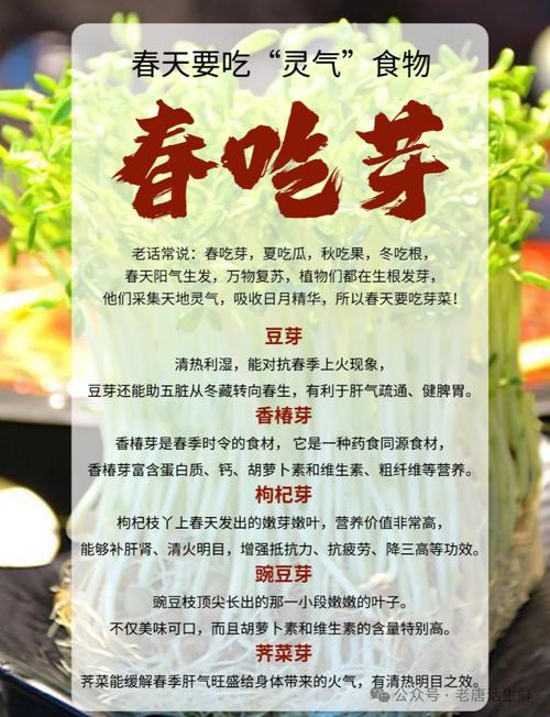 “春吃芽，夏吃瓜”多給孩子吃四種春芽，營養(yǎng)豐富，助孩子成長