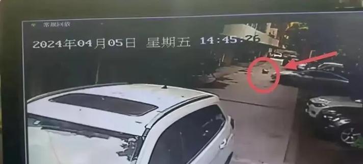 女童小區(qū)內(nèi)被碾壓身亡，肇事司機(jī)家屬：將起訴特斯拉
