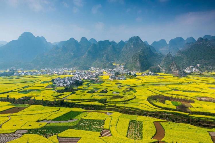 湖南通道縣：黃家堡的春天 油菜花的時節(jié)，美麗鄉(xiāng)村景色迷人