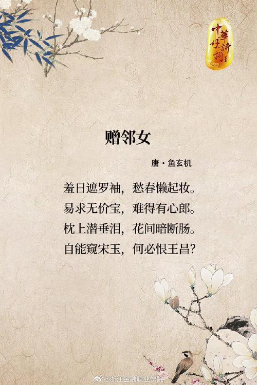 她的詩為何讓全網(wǎng)淚目？從紡織女工到田埂上的詩人！