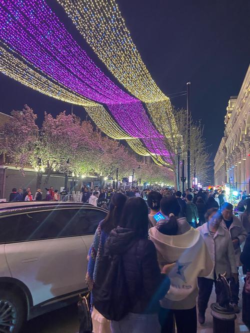 夜賞海棠花開，黃興公園海棠文化節(jié)開幕，首次開設燈光夜場