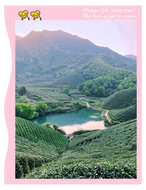 陽(yáng)春三月，隨團(tuán)旅游走近杭州西湖龍塢茶鄉(xiāng) 茶是春天的儀式感