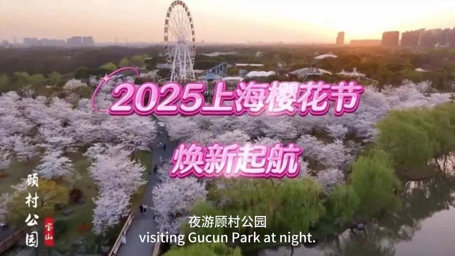 2025年上海顧村公園櫻花節(jié)盛大開幕，首次推出櫻花節(jié)夜游活動(dòng)