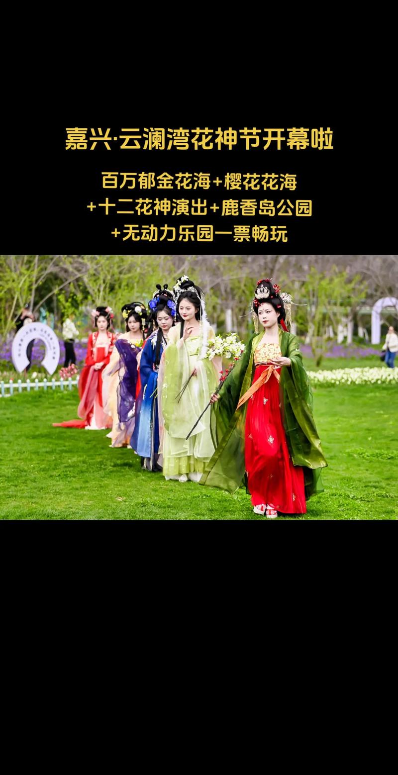 2025羅店花神節(jié)，盛況空前，花海人潮！