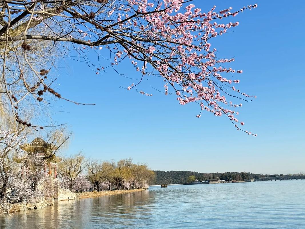 頤和園昆明湖驚濤拍岸，你說湖中的水鳥會不會暈哪？