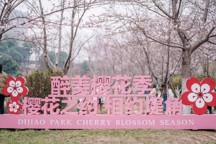 湖北武漢堤角公園：櫻花開(kāi)了，門(mén)口市民、商販云集，生意興??！