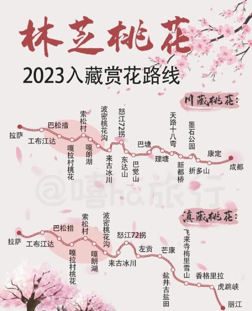 出發(fā)騎行林芝桃花節(jié) 替你們?nèi)プ杂? width=