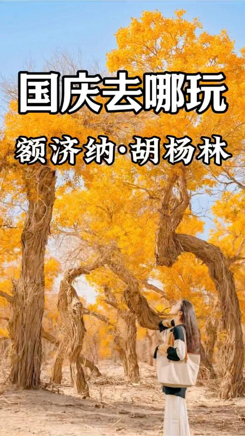 內(nèi)蒙古文旅回信瀟冉，全省景區(qū)免費對她開放：包含額濟納旗胡楊林