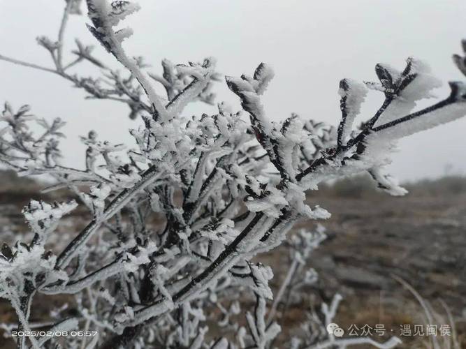 剛剛！大湖鄉(xiāng)雨凇美景再現(xiàn)！