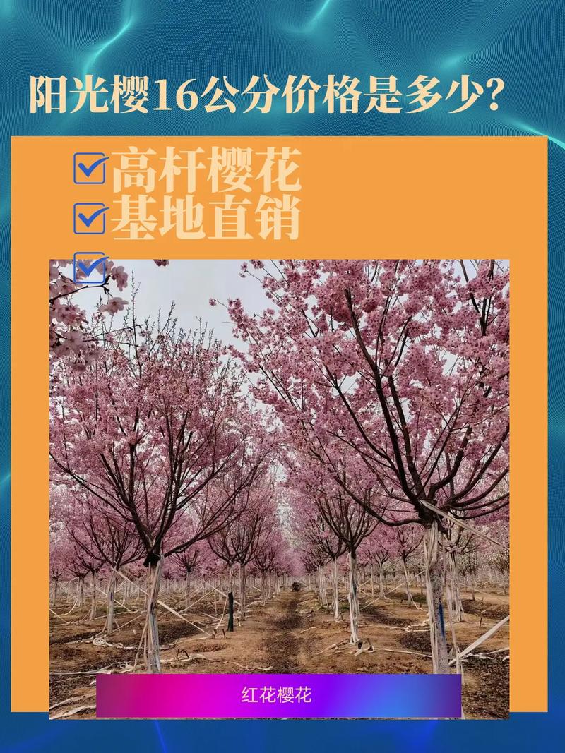 鶴壁櫻花園賞櫻預(yù)約公告！