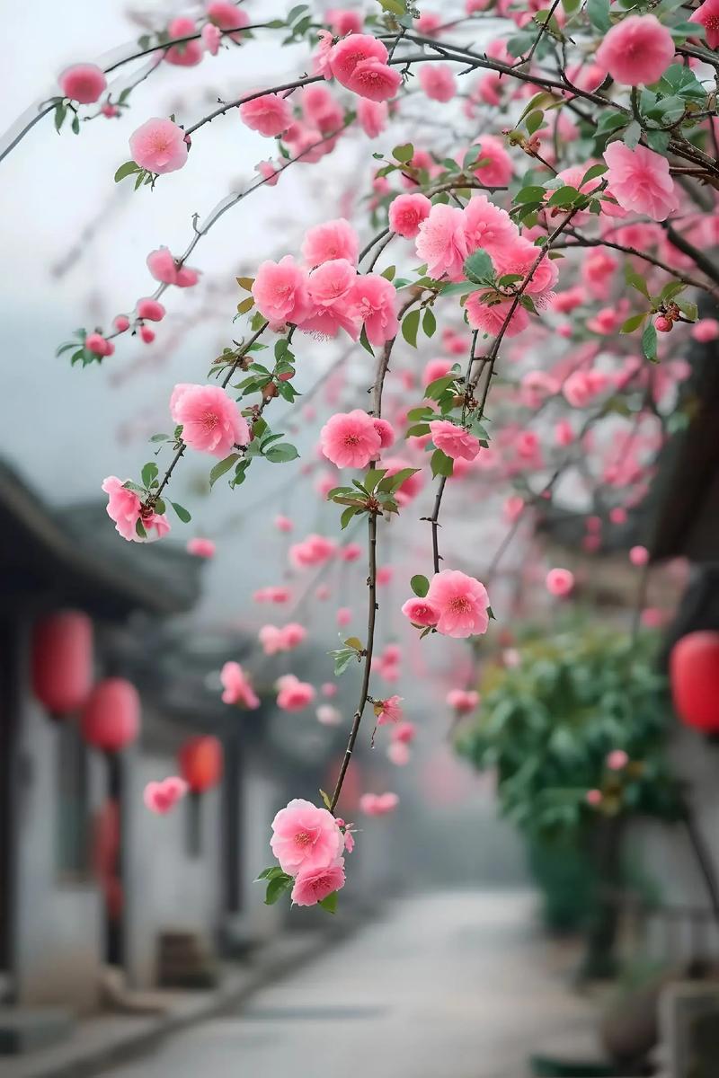 如詩(shī)如畫春意盎然！春暖花開奔你而來
