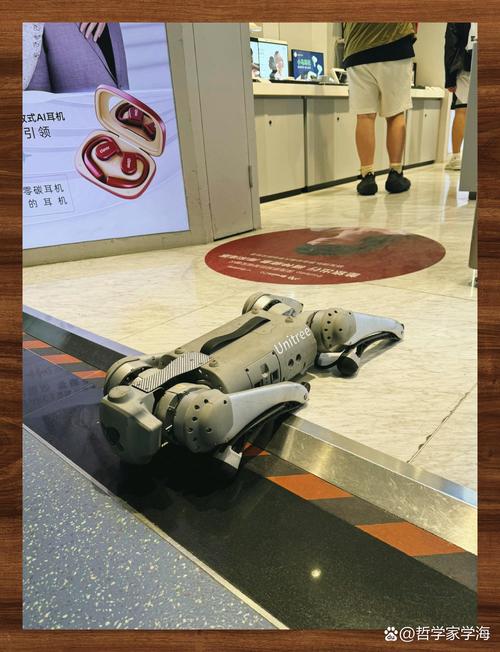 “2025年西城非遺體驗(yàn)周”啟幕，傳統(tǒng)技藝牽手宇樹機(jī)器人，帶來創(chuàng)新看點(diǎn)→