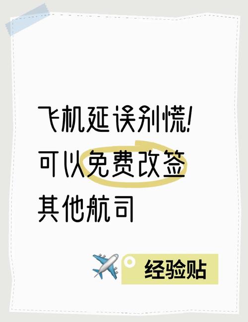 飛機(jī)機(jī)械故障臨時(shí)改簽。人到國(guó)內(nèi)了，行李還在歐洲