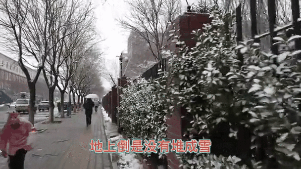 3月28號，北京飄雪，看把這些游客凍的樣子！倒春寒