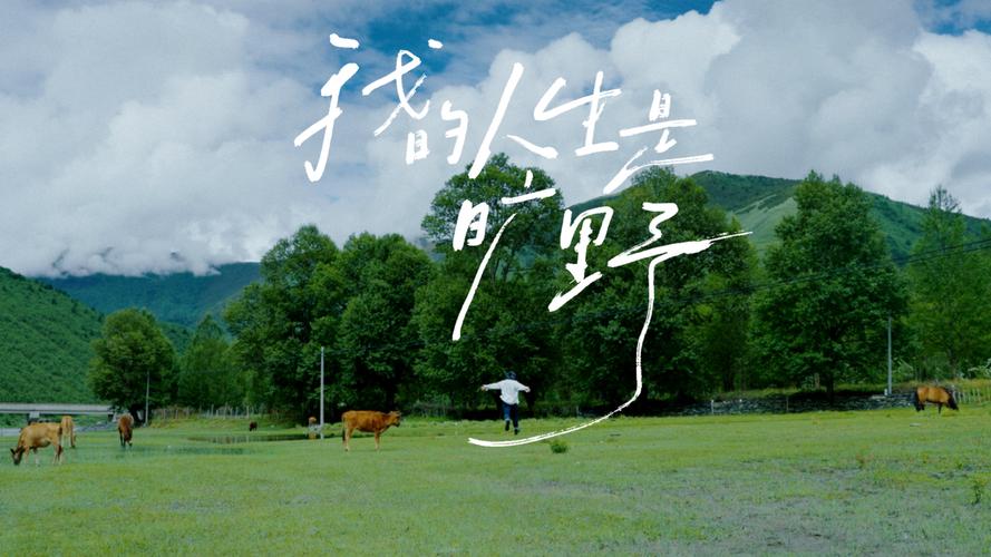 這才是理想的旅游生活 這里是曠野國際旅行社