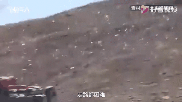 25人車隊(duì)非法穿越可可西里無人區(qū)被抓：被發(fā)現(xiàn)時(shí)三分之二人員已出現(xiàn)高反 警方已移交可可西里管理處