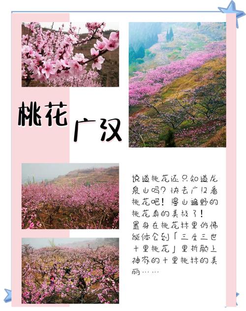 2025年4月 第281頁