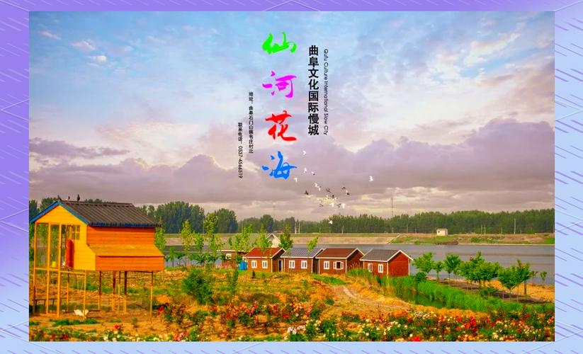好客山東好品山東｜免費(fèi)！臨沂濱河這片花海等你打卡！