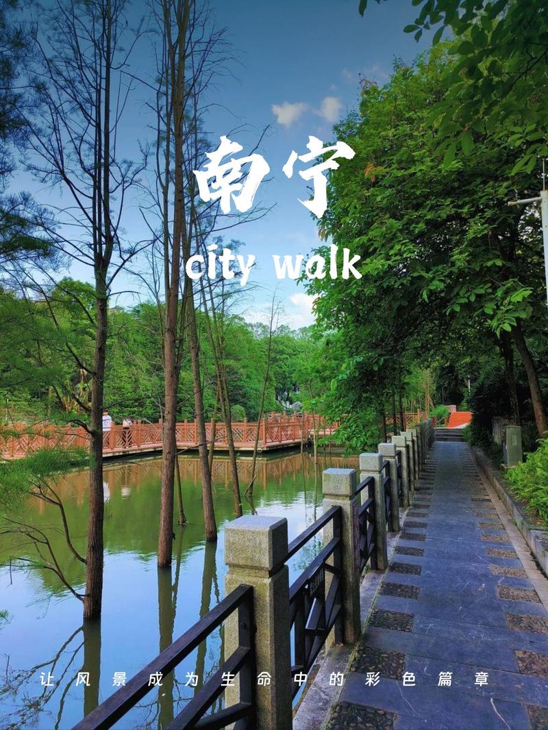 動(dòng)靜相宜皆入畫(huà)！這里是廣西南寧