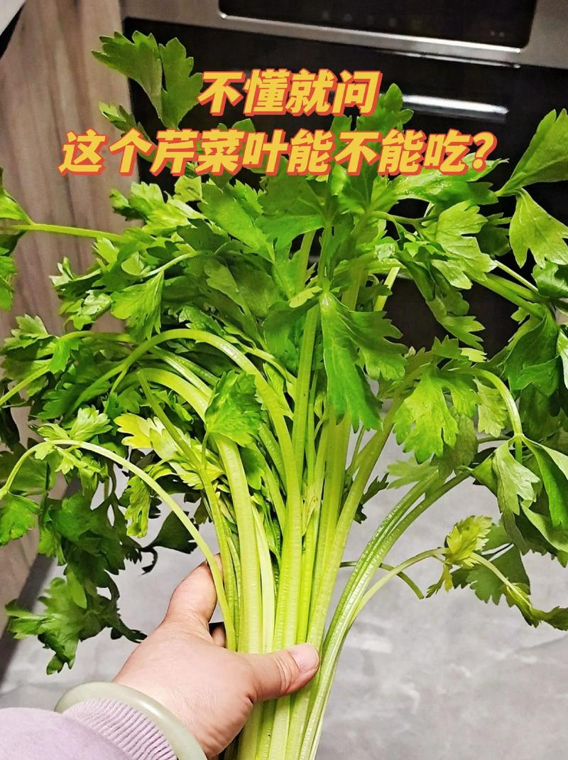 芹菜葉變廢為寶，真是太神奇了，千萬別錯過，一定要收藏