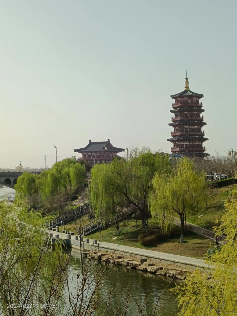 金色花海映紅塔，風(fēng)景如畫美無涯