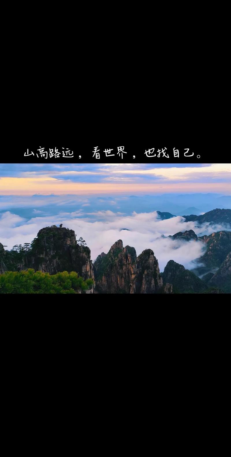 探索天路之巔，遇見高山花田